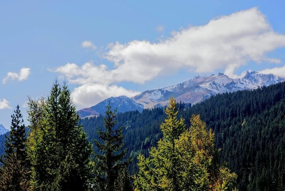 Canyon Lodge by Alpine Resorts