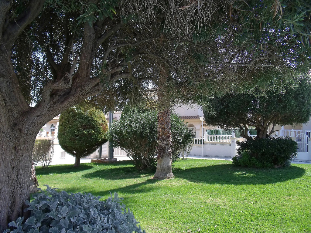 Apartment Tamarix