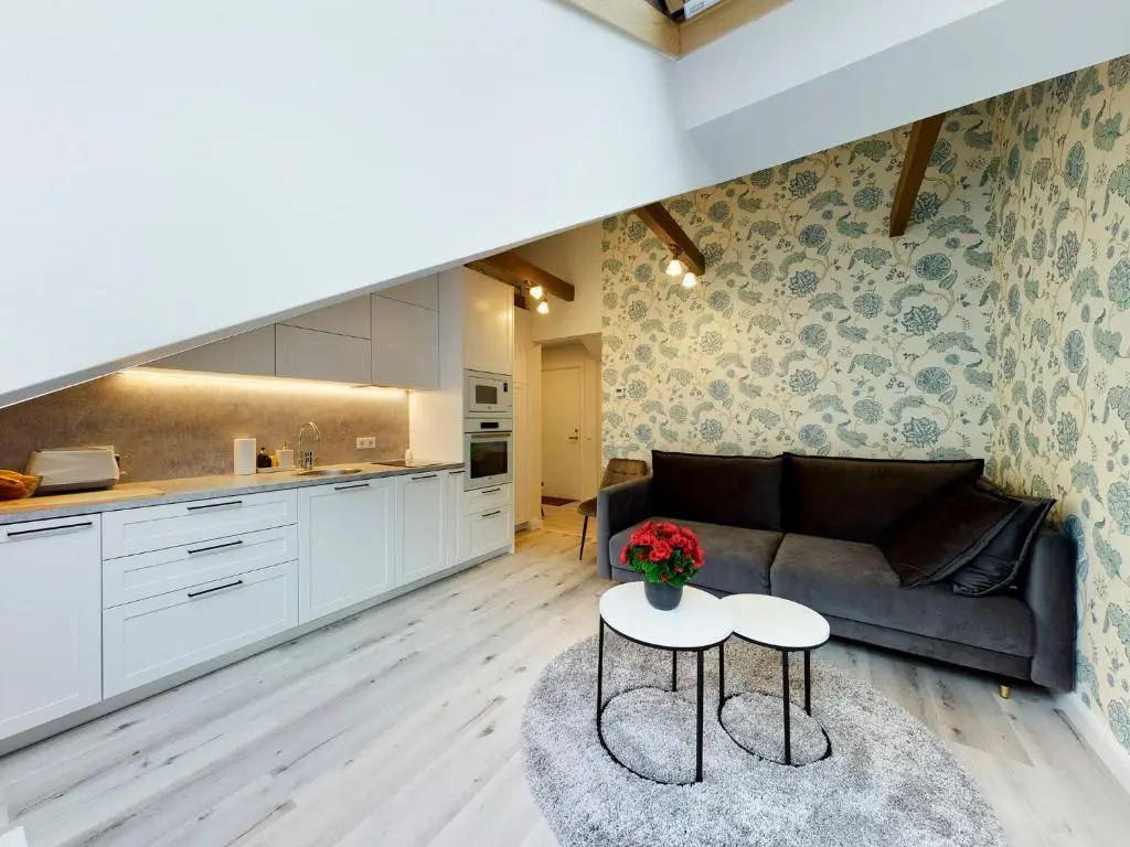 Tatari City Center Apartment
