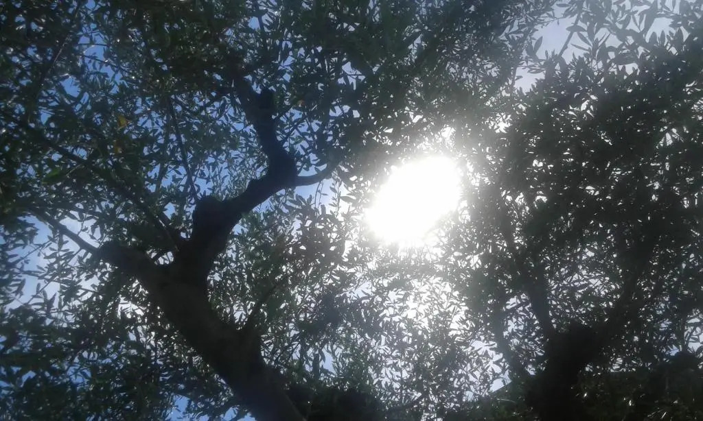 CasaVarone