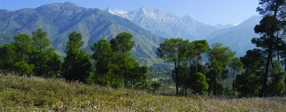 Club Mahindra Kangra Valley Resort