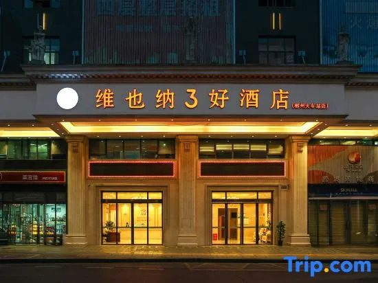 Vienna 3 Best Hotel (Chenzhou Railway Station Youa Plaza)