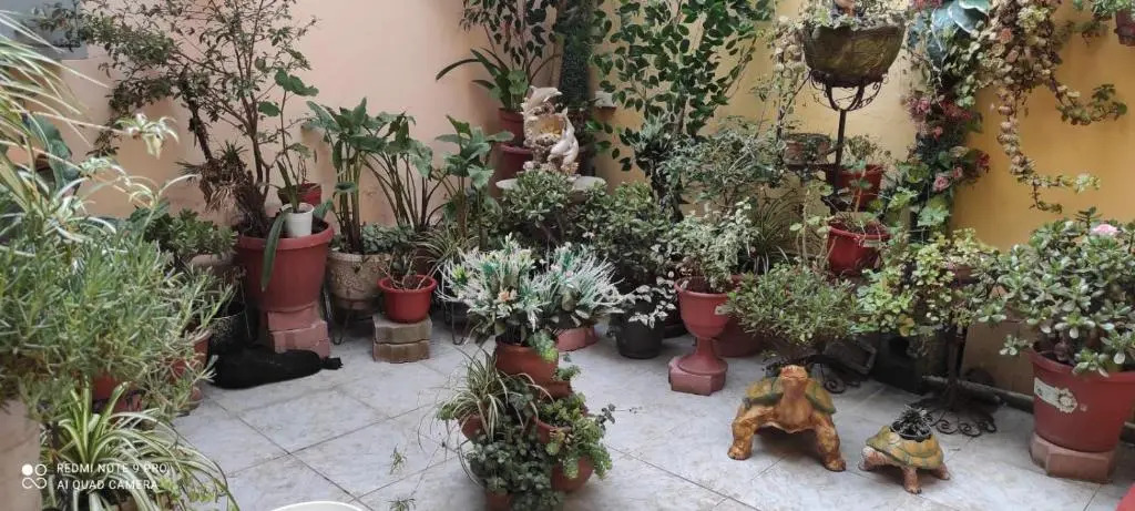 Colonial House Instinto Ecuador
