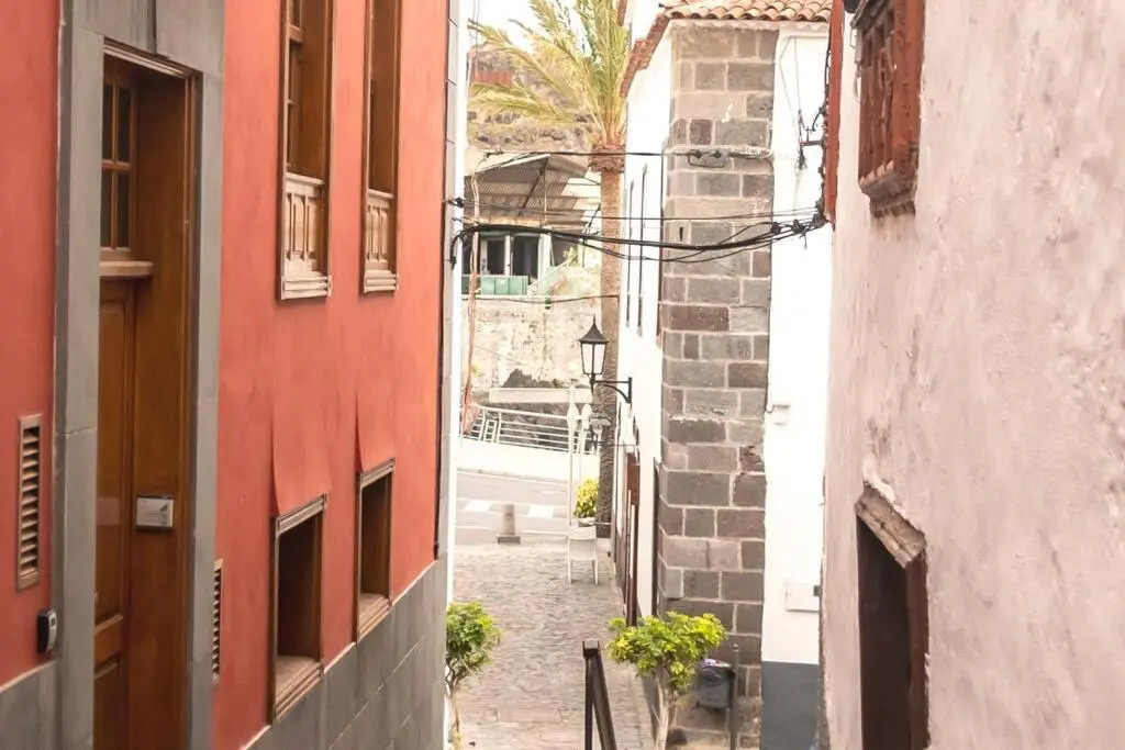 Salsalitre Chico
