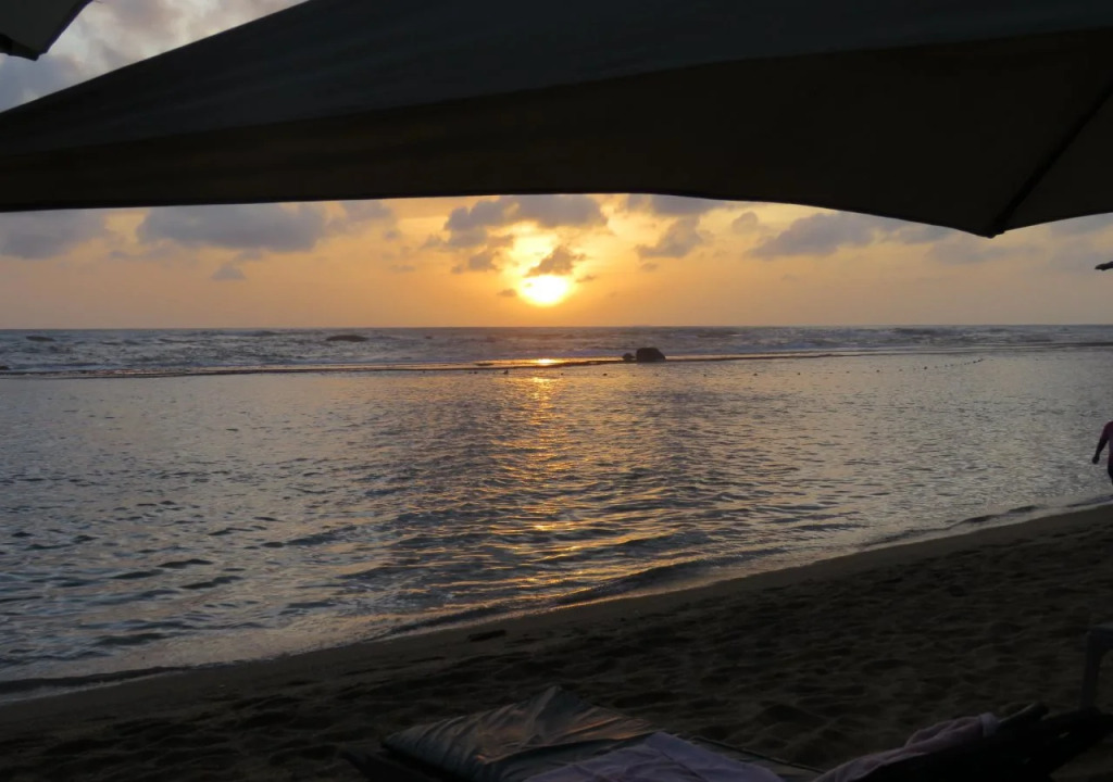 Paradise Bay