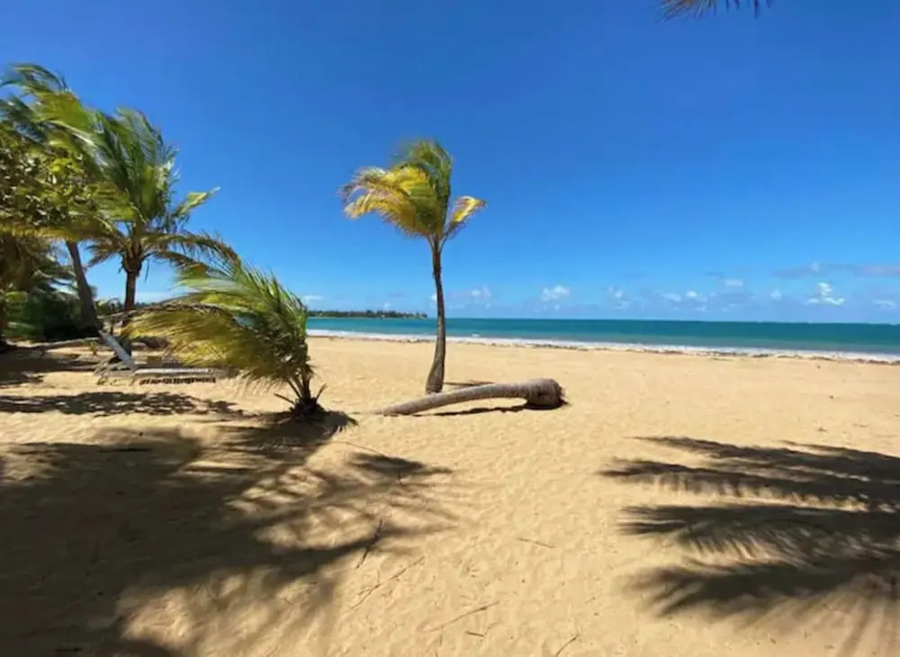 Beachside Adventure Suites