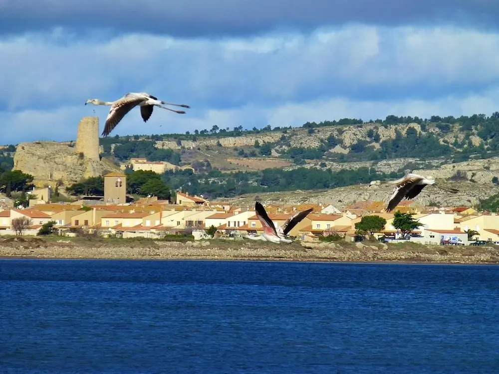 Apartment With 2 Bedrooms in Gruissan, With Wonderful sea View, Furnished Terrace and Wifi - 50 m From the Beach