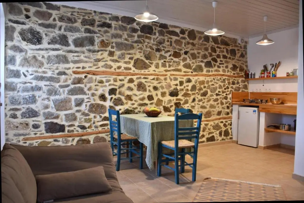 The apricot tree studio