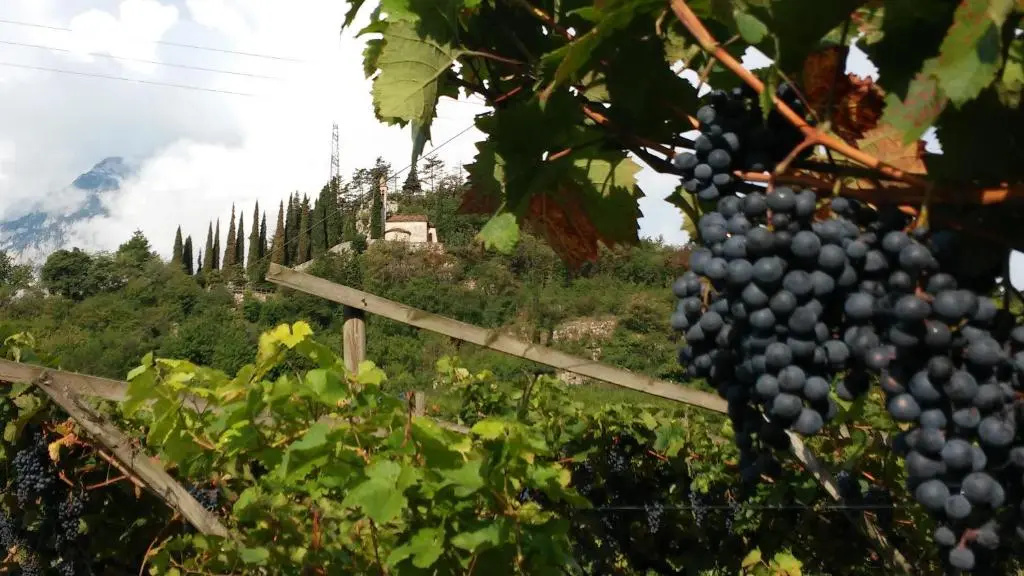 Appartamento Masi