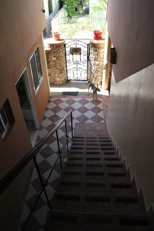 Villa Iguana
