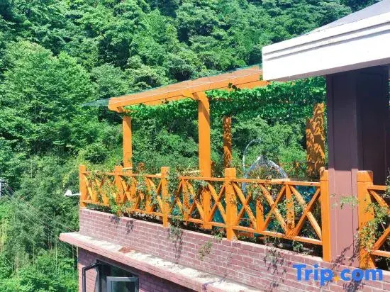 Q+ yunhaiTheme Homestay