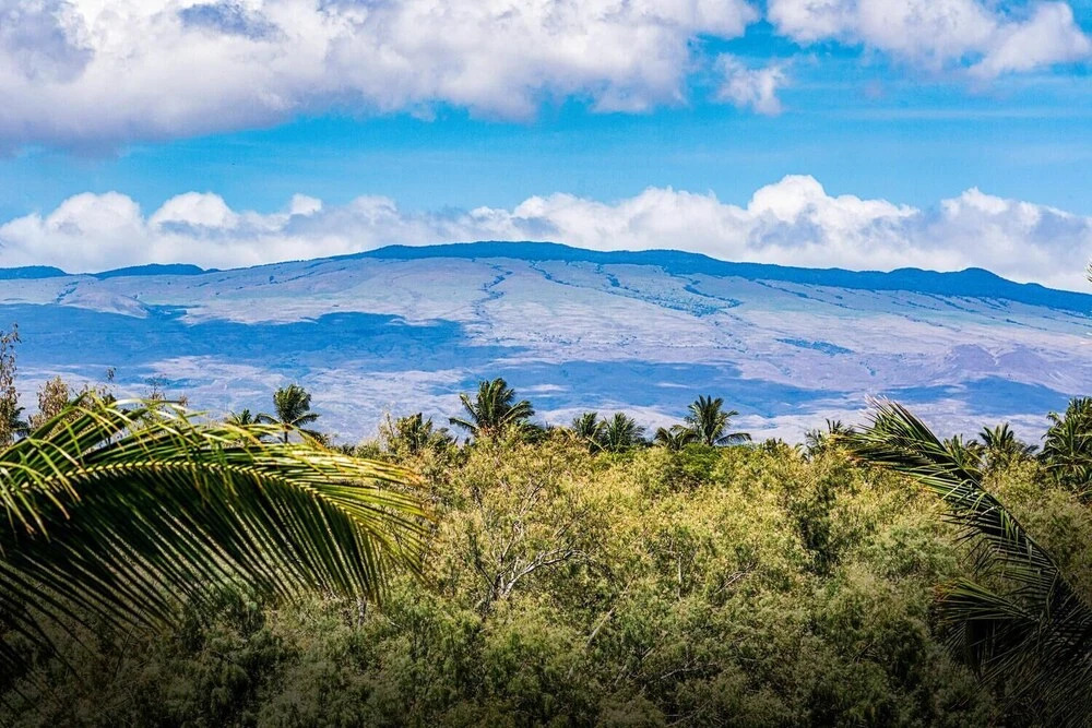 Fairway Villas Waikoloa B21
