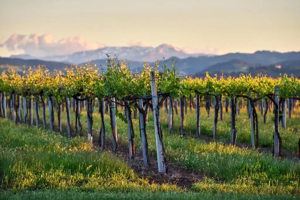 Antico Podere Emilia