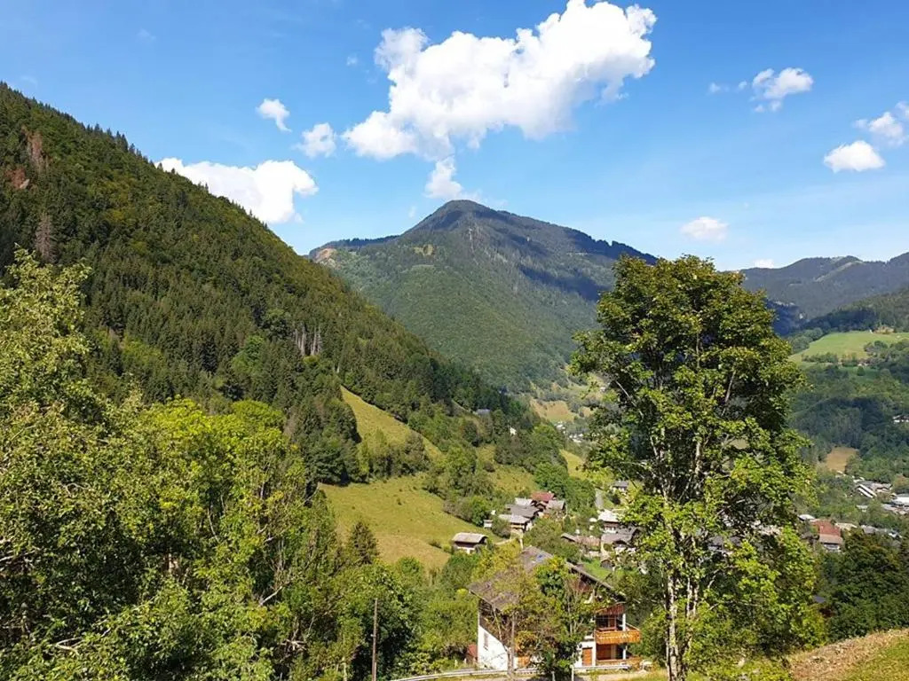 Appartement Saint-Jean-d'Aulps, 1 pièce, 4 personnes - FR-1-573-44