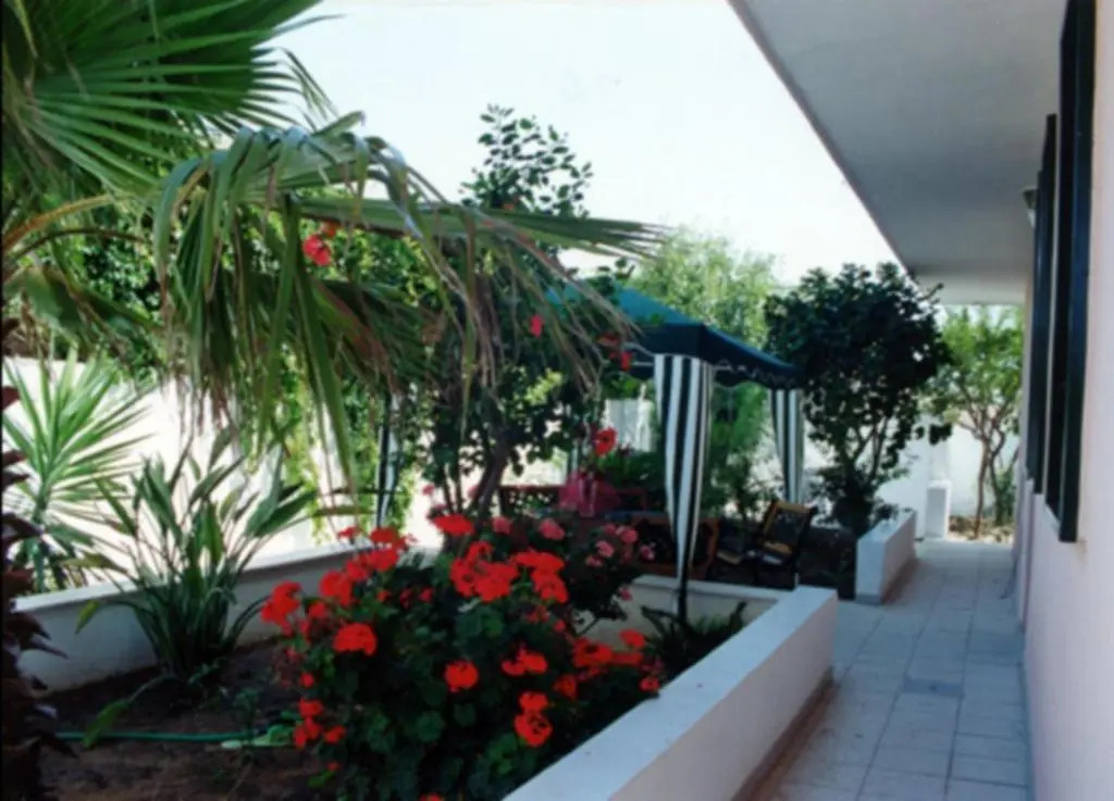 La Casa Del Mito
