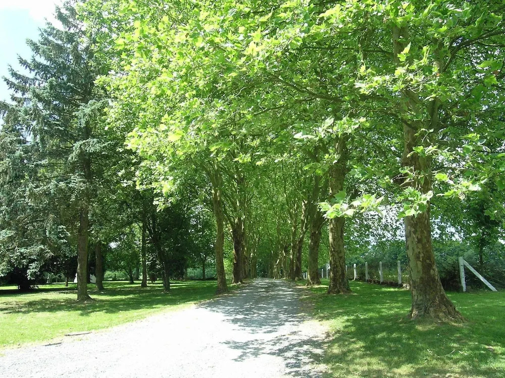 Gorgeous Apartment in Bohon with Garden Furniture and BBQ