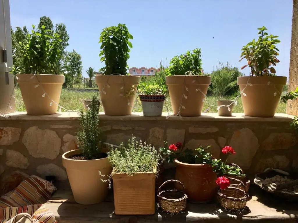 Garden Village Residence