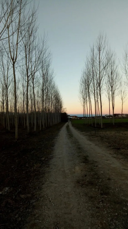 Cascina Bellezza
