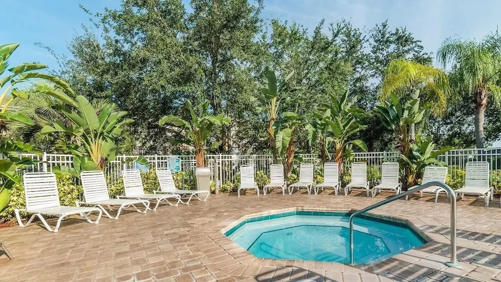 Coconut Palm 8107 , U305