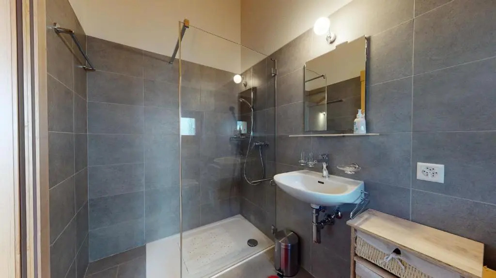 Modern 1 bedroom apartment with charm in Sierre