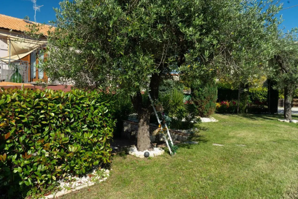 Bed & Breakfast Mafi