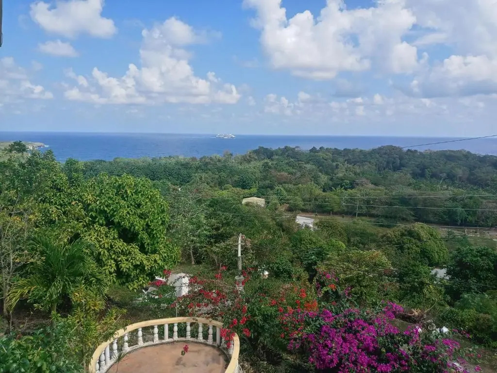 Royal Villa 360