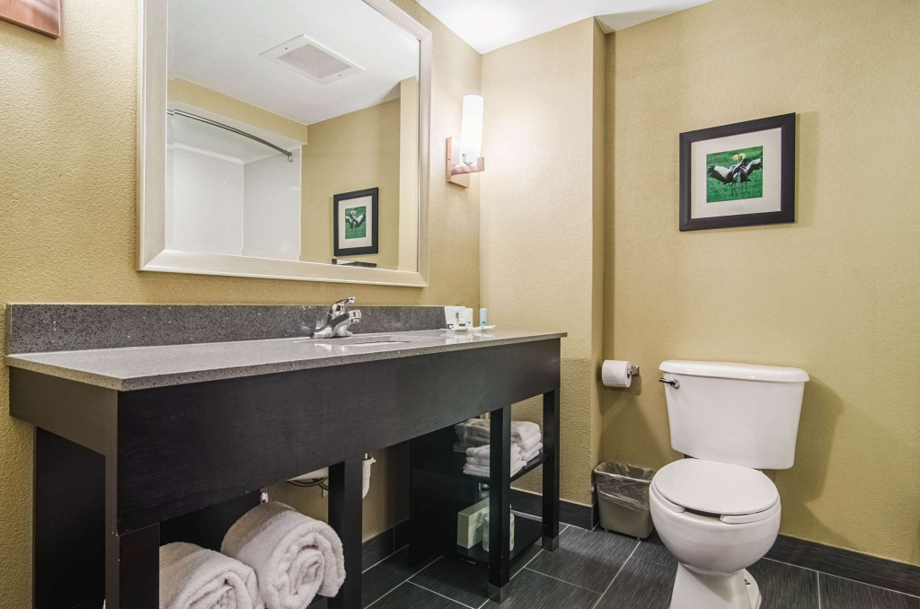 Quality Suites Graham - Burlington South