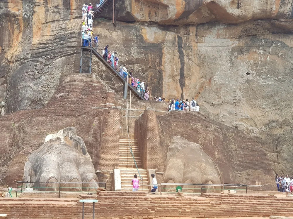 The Elephant Village