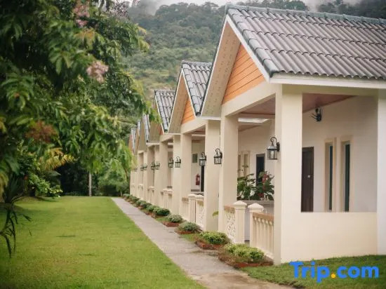 Dreamz Village