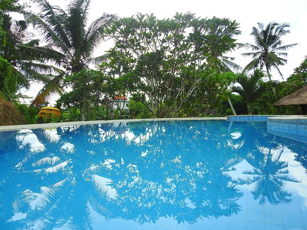 Mandala Hostel Ubud