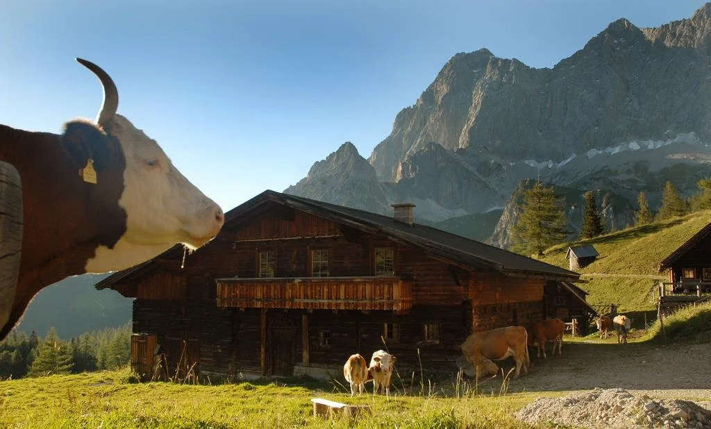 Haus Bergzauber