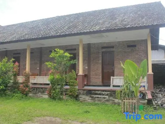 JOGLO Greenhouse