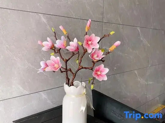 Xinfei Holiday Hotel (Suzhou Guogou Plaza)