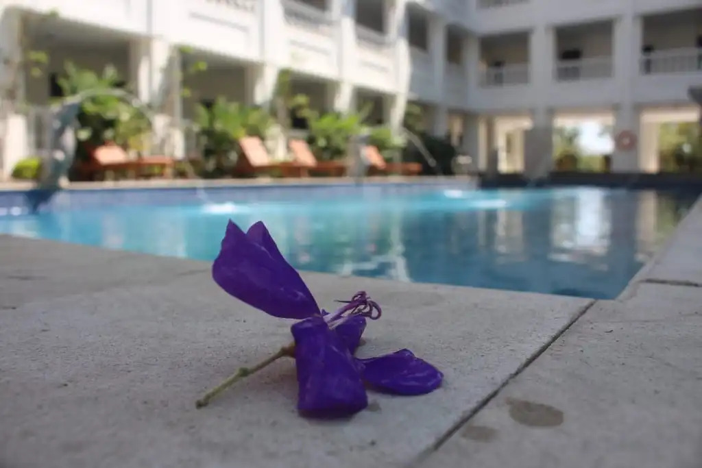 Same Hotel Cepu