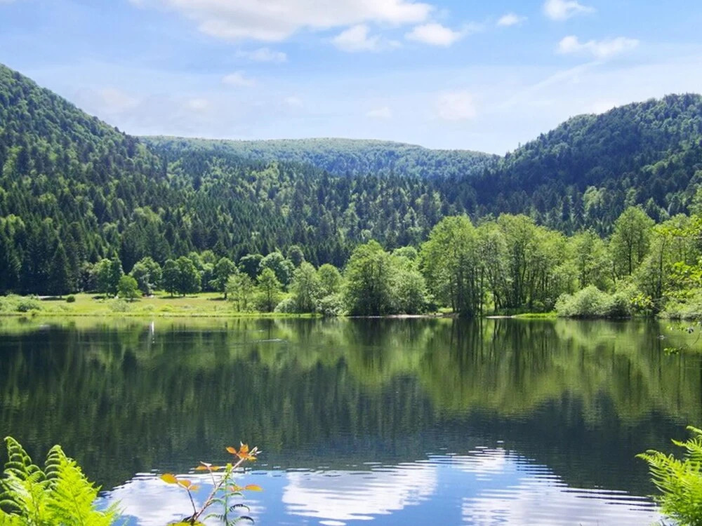 Chalet With 2 Bedrooms in Xonrupt-longemer, With Wonderful Mountain Vi