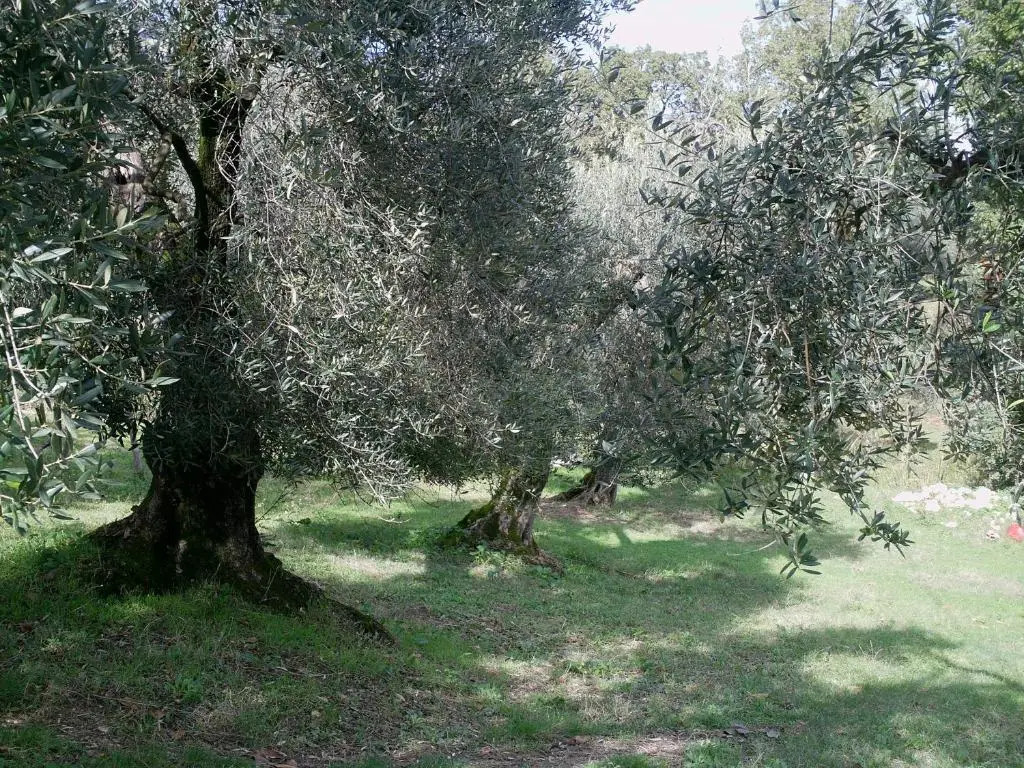 B&B Da Mariella