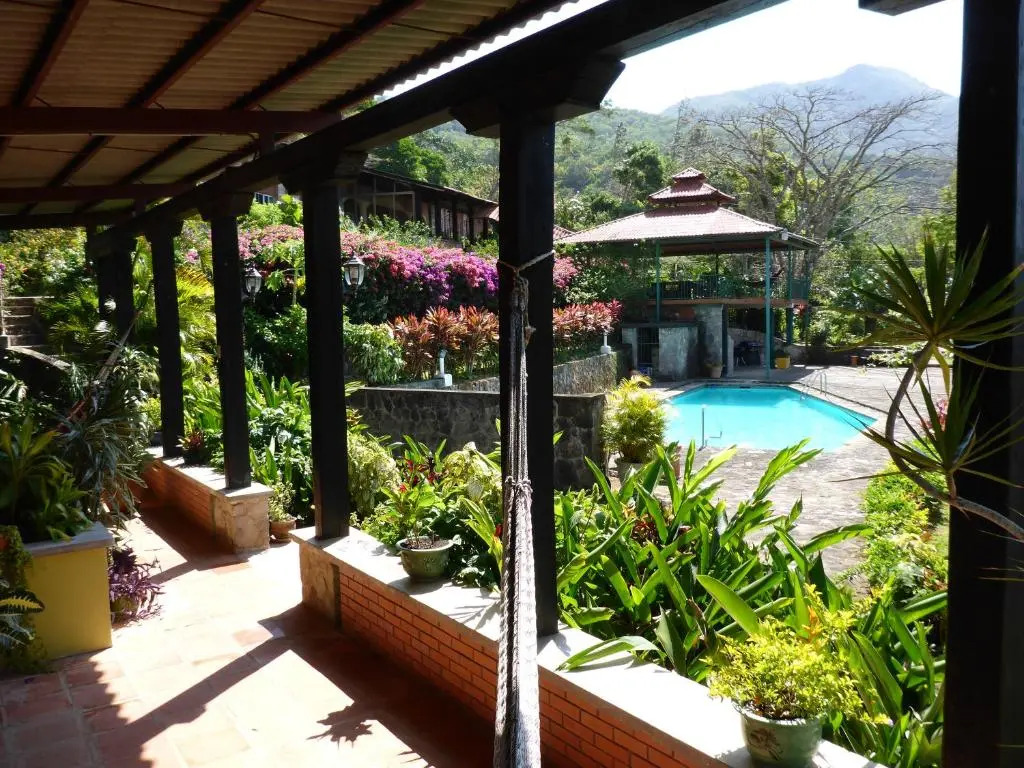 The Golden Frog Inn