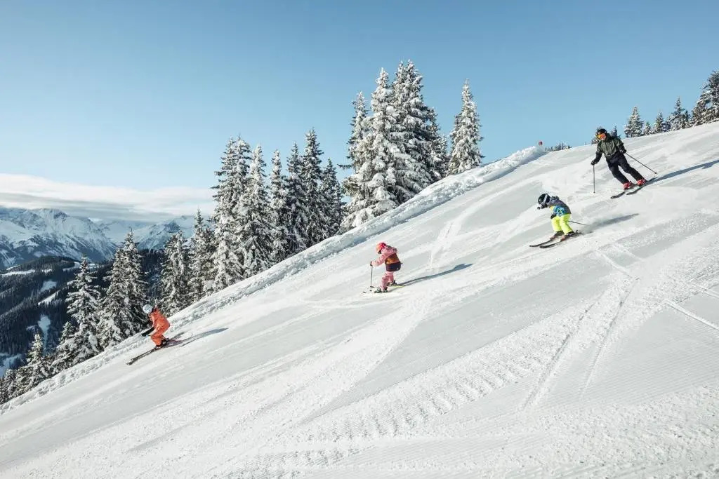 AlpenParks Chalet & Apartment AreitXpress