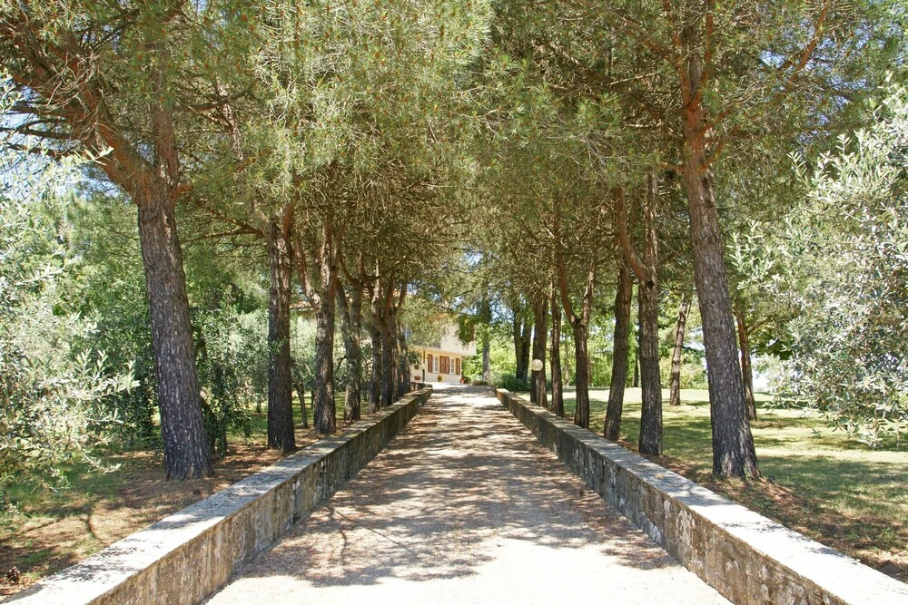 Casa Rossella