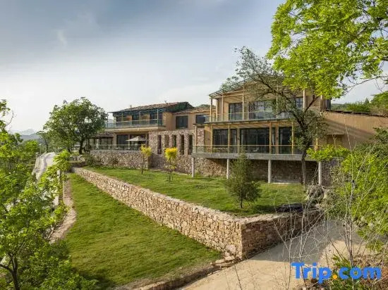Wangpo Homestay