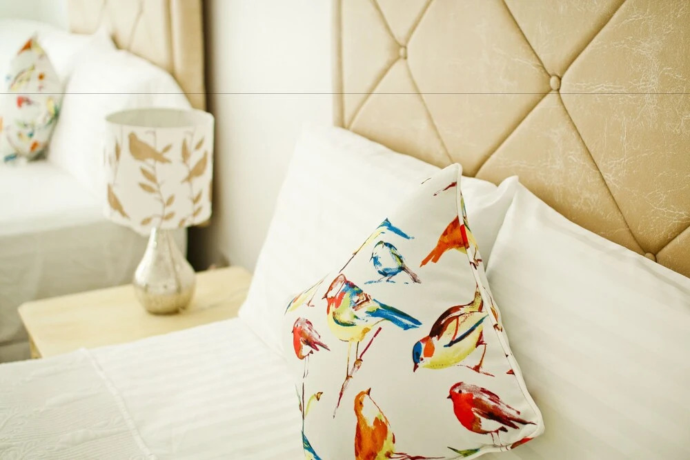 Cattleya's Green Suite Exquisite
