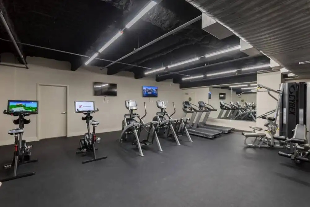 New Renovated Condo in the Heart of Nola