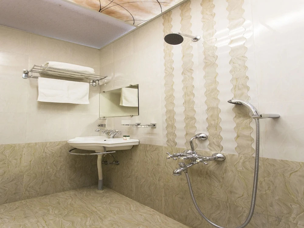 OYO Flagship 10078 Hotel Shriniwas Executive
