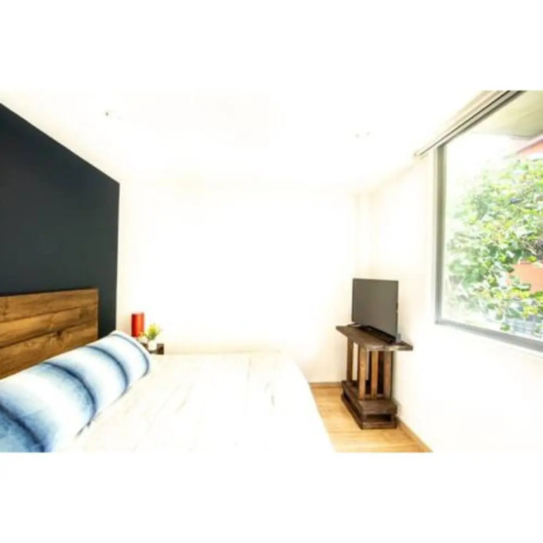 Sophisticated Park Venue Apartment Near Polanco