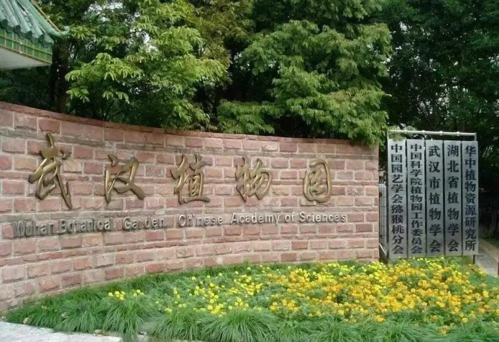 Optical Valley Convention Hotel