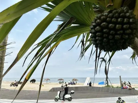Shuangyue Bay Xiehai Sunrise Seaview Beautiful Homestay (Honghai Bay Phase 3)