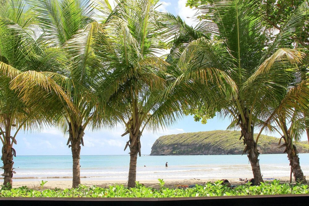 Villa With 5 Bedrooms in St Davids, Grenada, With Wonderful sea View,