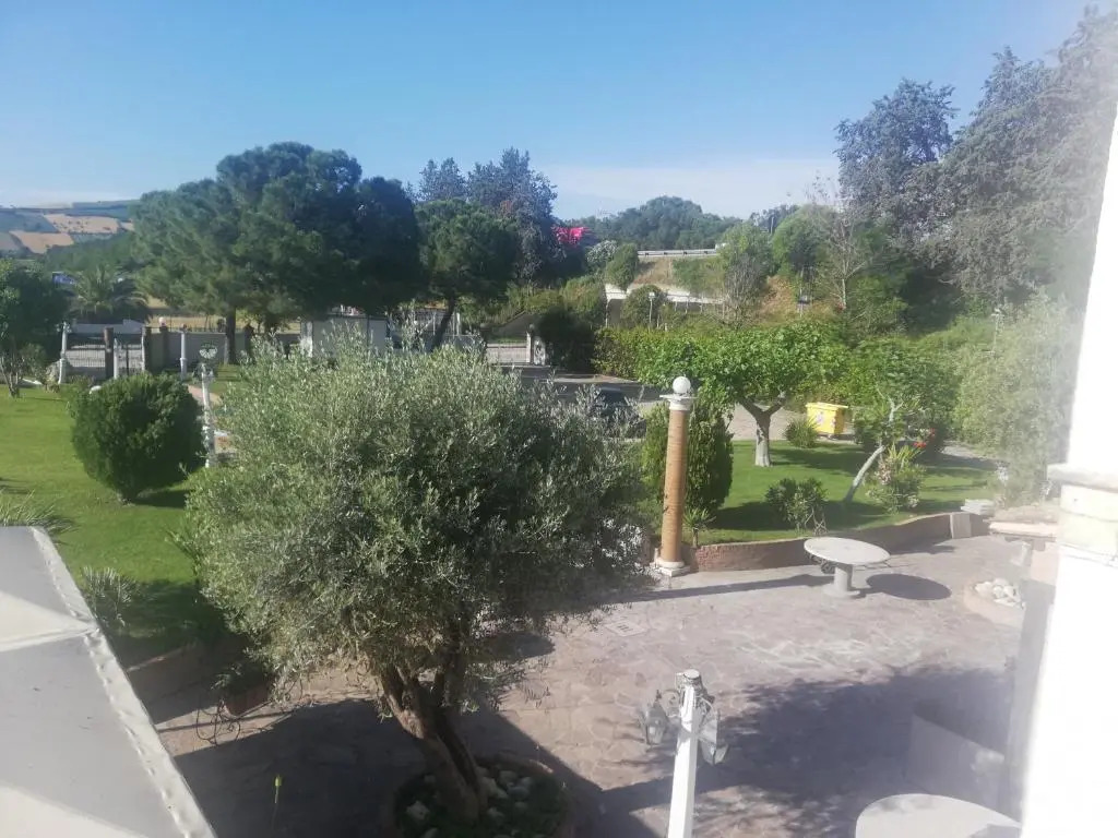 Trattoria Cognigni