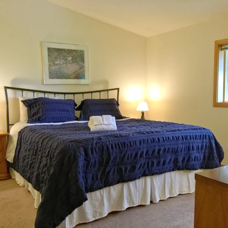 Mt Baker Rim Cabin 70 A pet Friendly Vacation Home With a hot tub and Wifi