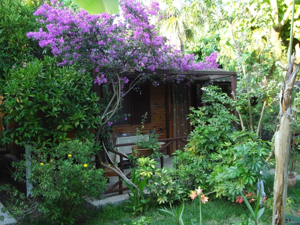 Myland Nature